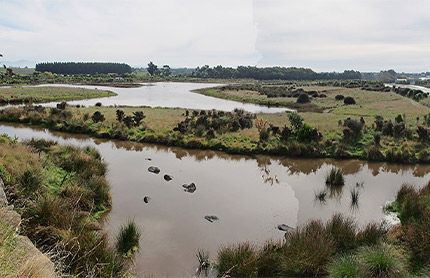 Otipua Wetland