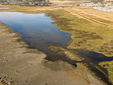 Pollution in Washdyke lagoon