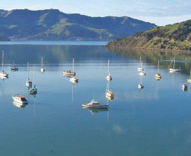 Moorings Akaroa harbour