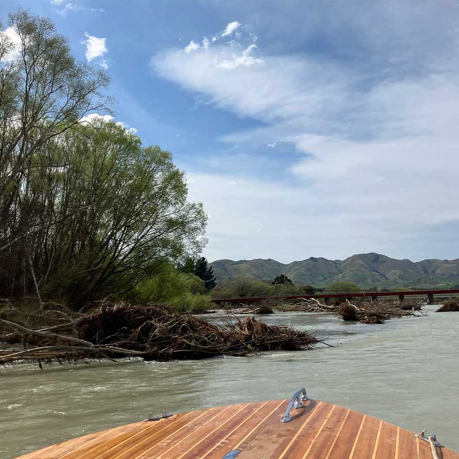 Submerged trees Waiau river 1