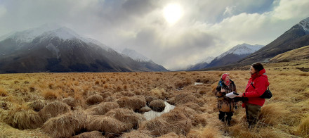 ECan news story Stunning Glen Lyon Station further protected from weeds2