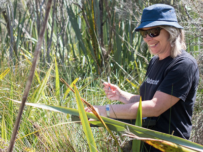 Environment Canterbury Ecologist Helen Greenep on Mount Fyffe