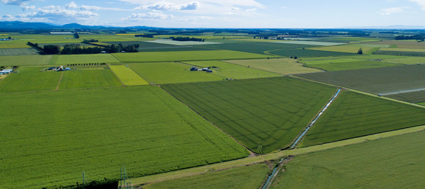farming landscape