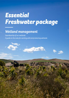 Wetlands PDF cover