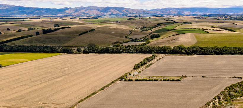 farming landscape