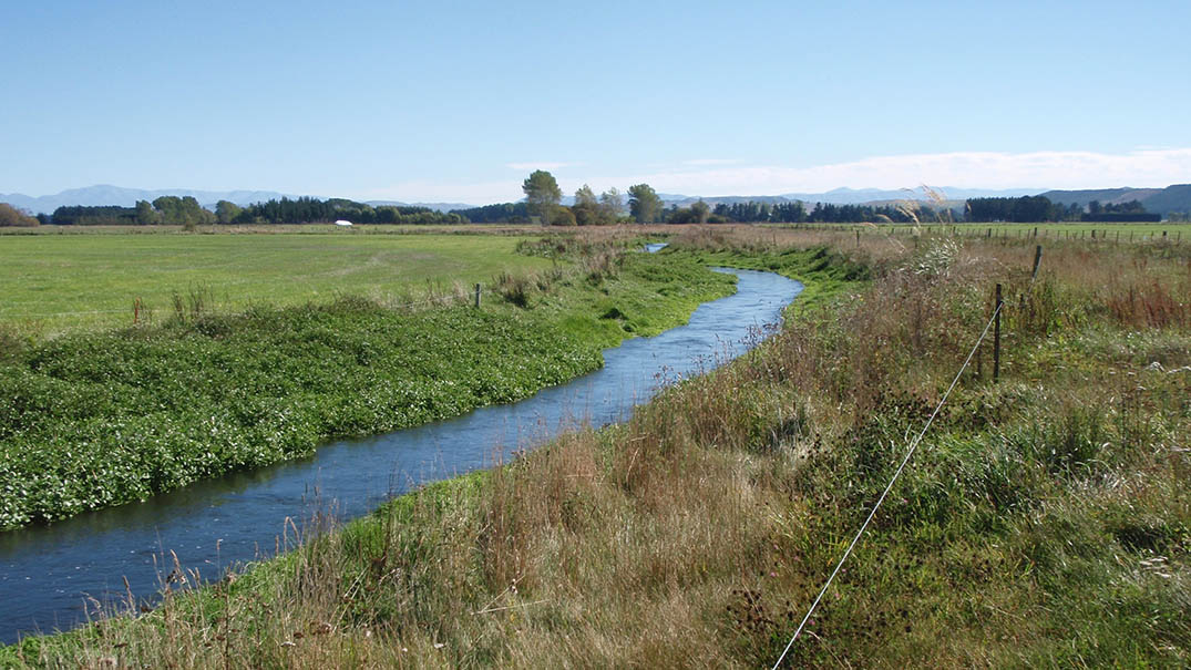Protect your waterways from fertiliser and manure.
