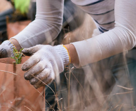 BAG   campaign news story 2026