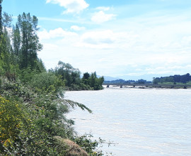 Ecan news Rangitata river flooding 