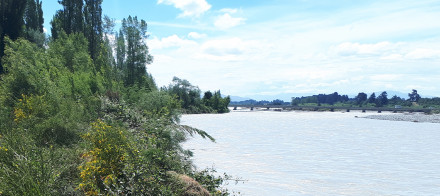 Ecan news Rangitata river flooding 