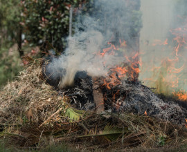 Ecan news firmer approach to outdoor burning 1105x491px