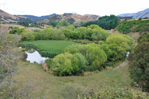 Greenburn wetland - one of the wetland projects in the Kaikōura catchment.