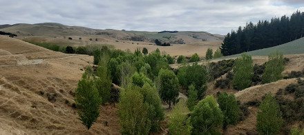 Ecan news story Programme celebrates first year reducing hill country erosion in North Canterbury