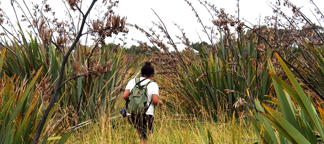 ECan Event Story Bioblitz events strike Timaru