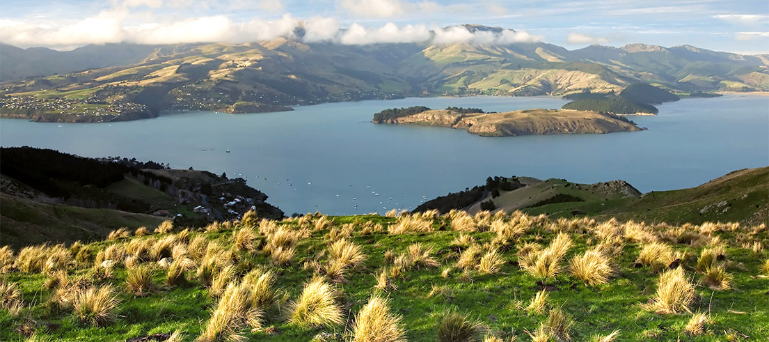 ECan News Story Freshwater front of mind for Banks Peninsula