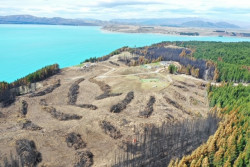 Burnt trees have been cleared from prioritised areas.