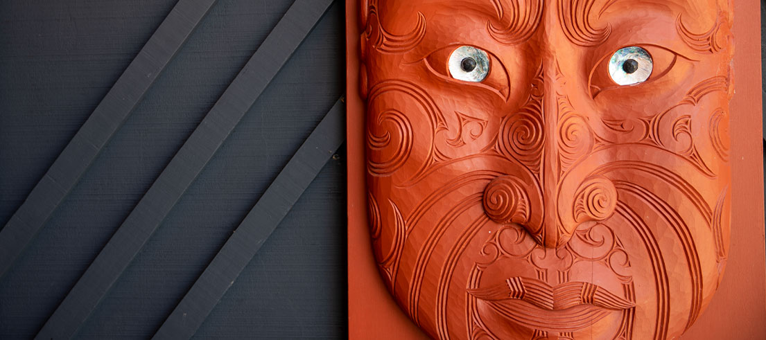 Council opts not to include Māori constituency