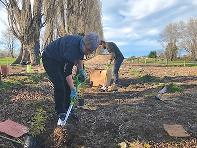 Planting natives at Te Ngāwai River at Pleasant Point in 2018