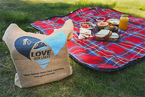 reusable picnic bag.