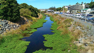 Lyell creek in Kaikoura