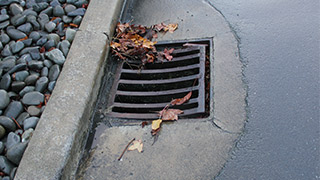 Drain with leaves