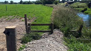 Before intervention - since this image was taken, the riparian buffer has been expanded by putting the fence further away from the stream, and infill planting has now been completed in that buffer.