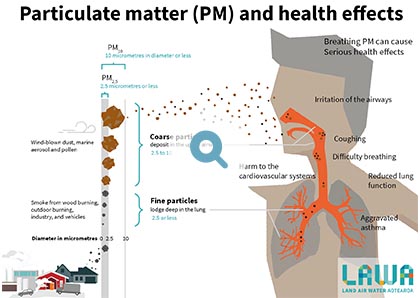 Potential health effects caused by breathing in particulate matter