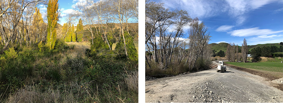Waiau Uwha River stopbank before (left) and after (right) vegetation clearance.