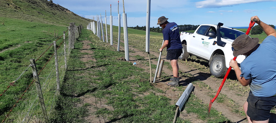 Soil Conservation and Revegetation Programme marks another successful year