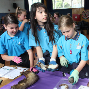 Photograph of students interacting with items on pest control stall. 