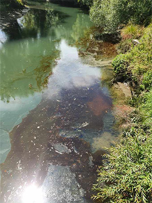 oil spilt into the Cam / Ruataniwha River after a significant fire was extinguished in Kaiapoi