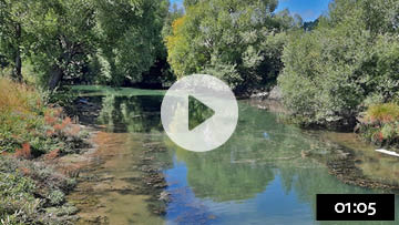 Video on the Kaiapoi oil spill response and recovery