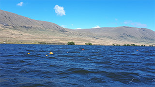 The buoys in the middle of Lake Clearwater mark important water monitoring equipment operating under the surface.