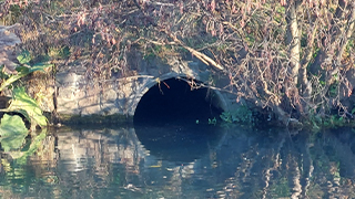 A stormwater outlet in the Avon River/Ōtakaro awa
