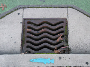 Stormwater drains lead directly to waterways