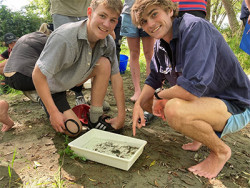 Sam Hinton and Thomas Fulton observe the variety of macroinvertebrates collected from a kick sample in the Opihi River