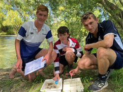 James Guerin, Oliver Geary and Harry Small sort and record their findings from the macroinvertebrate kick sample
