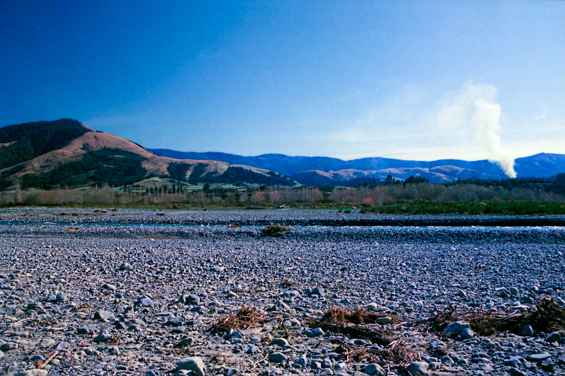 The river berm in 1988, relatively clear.
