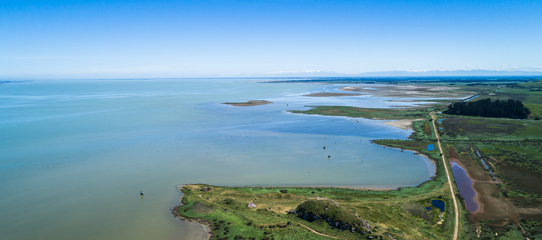 New Te Waihora Co-Governance website builds on a decade of achievement