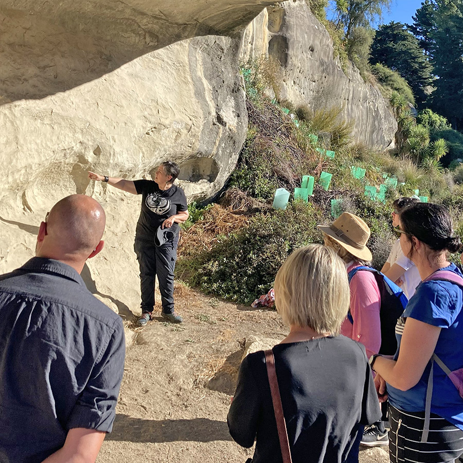 The zone committee organised and attended a public field trip to the Ōpihi  Māori rock art site