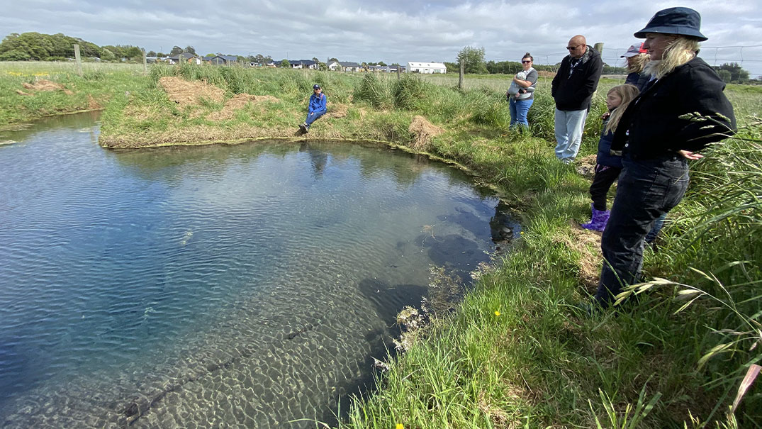 The OHRN group viewing the large spring on Bowis Stream
