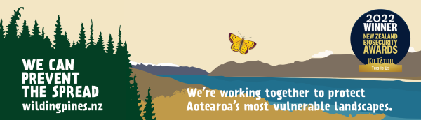 2022 winner New Zealand Biosecurity Awards | We can prevent the spread wildingpines.nz | We're working together to protect Aotearoa's most vulnerable landscapes. 