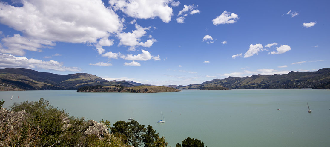 Water quality results at Lyttelton Harbour – what's the story?
