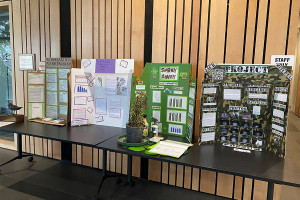 The science fair presentations