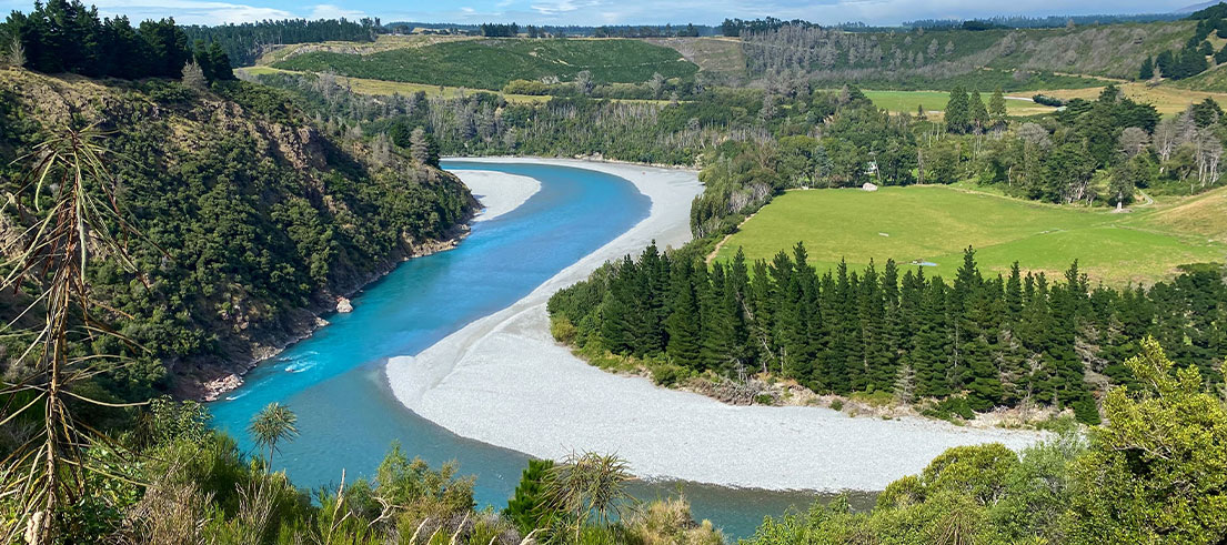 Rakaia Gorge weed control project off to a great start