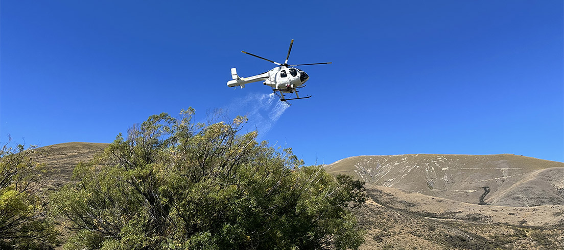 Ahuriri helicopter spraying