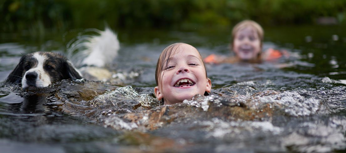 Keep you and your dog safe from toxic algae this summer Keep you and your dog safe from toxic algae this summer