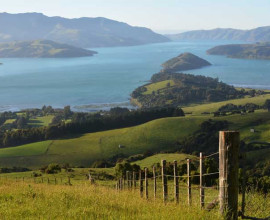 Banks Peninsula