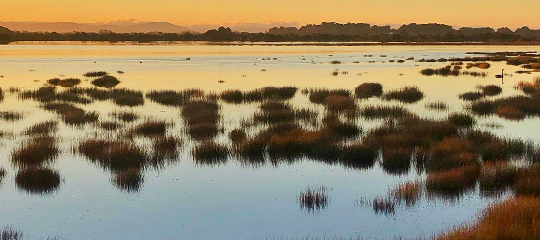 Contastebal funding   wetland