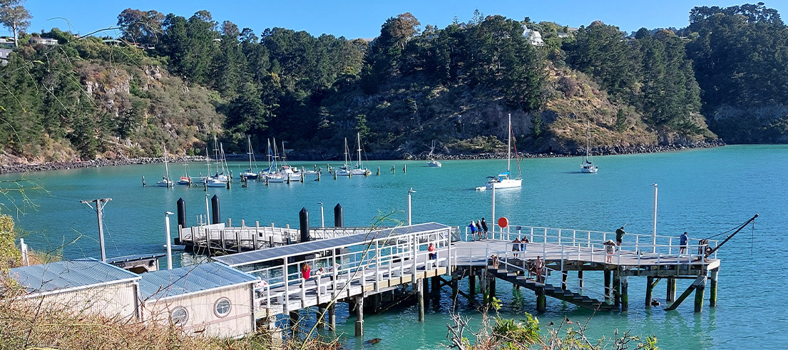 Diamond harbour wharf 2024