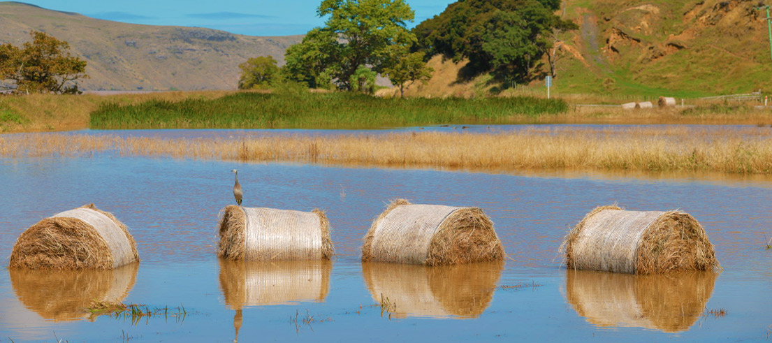 Flooding Little River